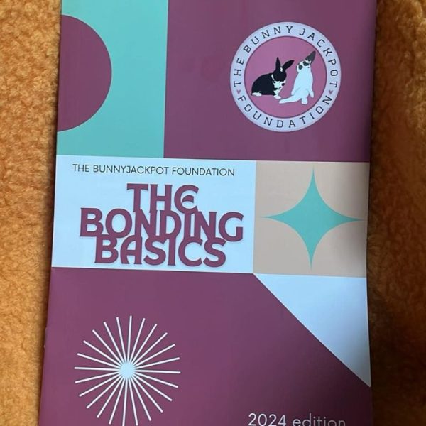 Rabbit Bonding Guide Booklet | The Bunnyjackpot Foundation Online Shop