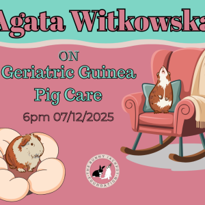 Webinar Recording - Geriatric Healthcare in Guinea Pigs
